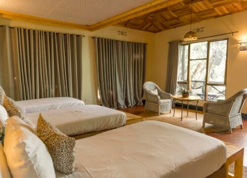 Triple Room - Olea Farm Lodge